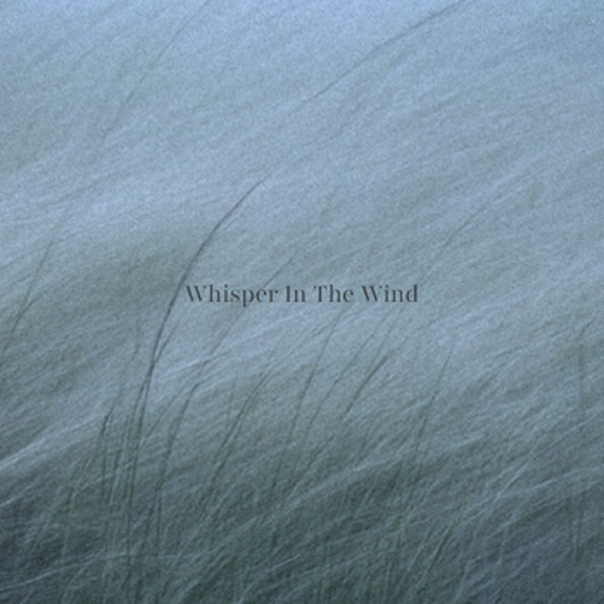 Whisper in the Wind