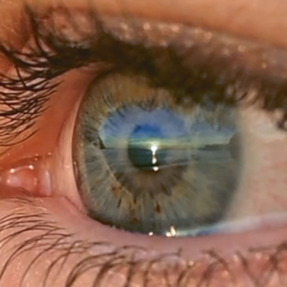 Listen to Albadas (Dawn Songs)