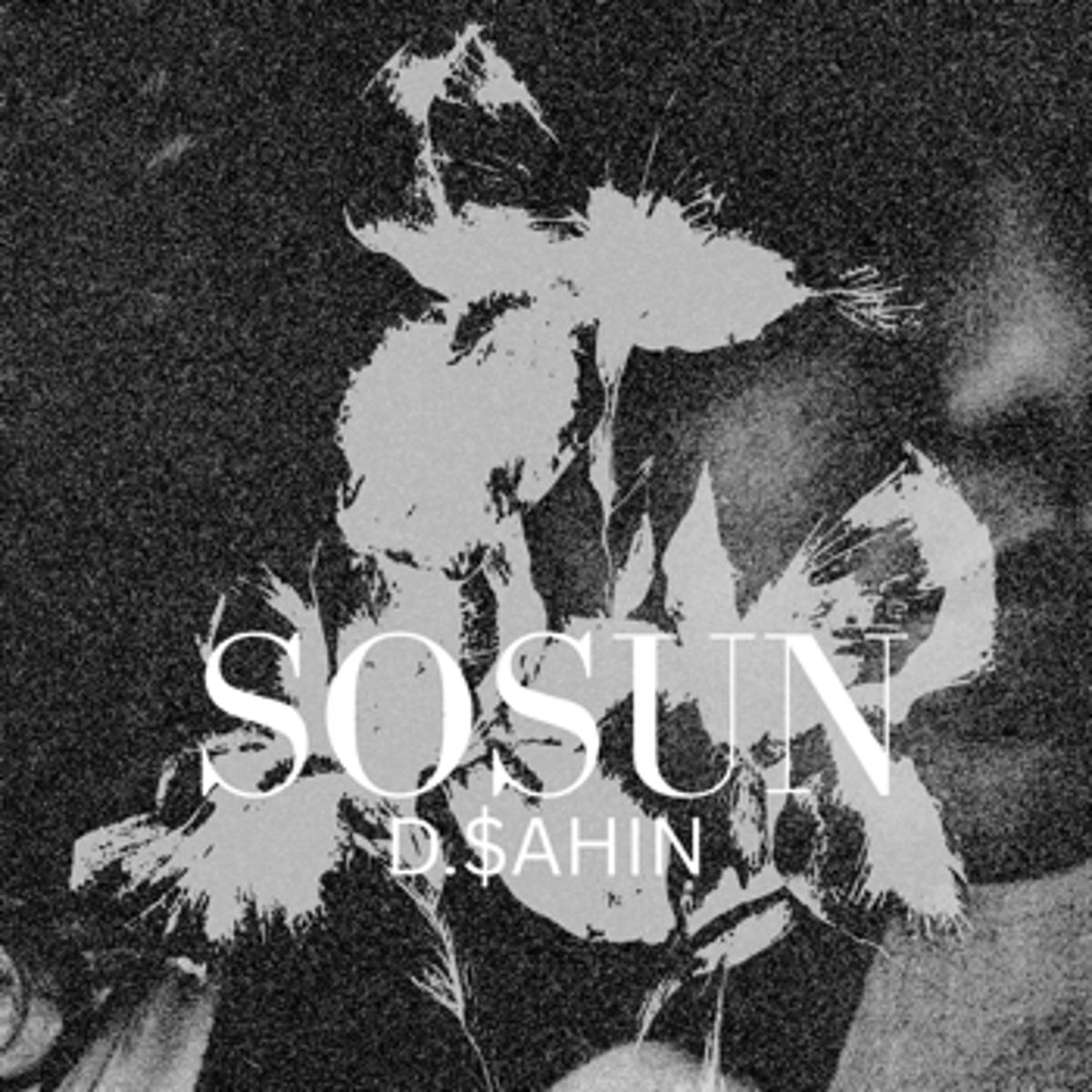 SOSUN - EP - 24/04/2026