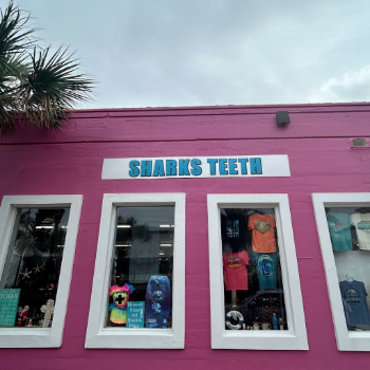 'sharks teeth' live in the world for you