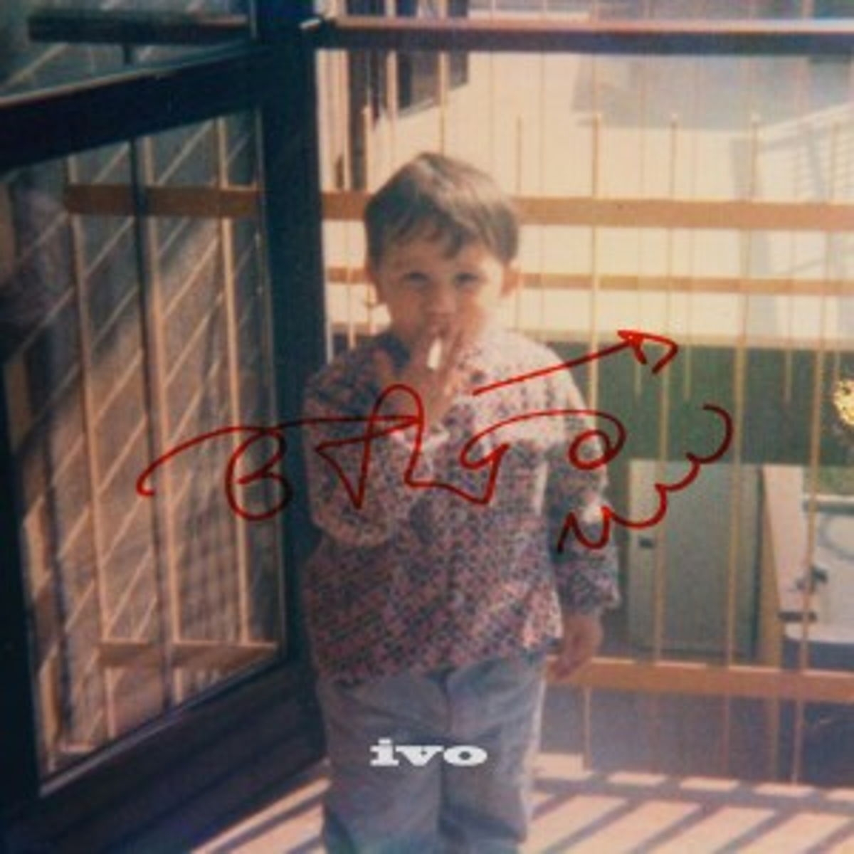 ivo
