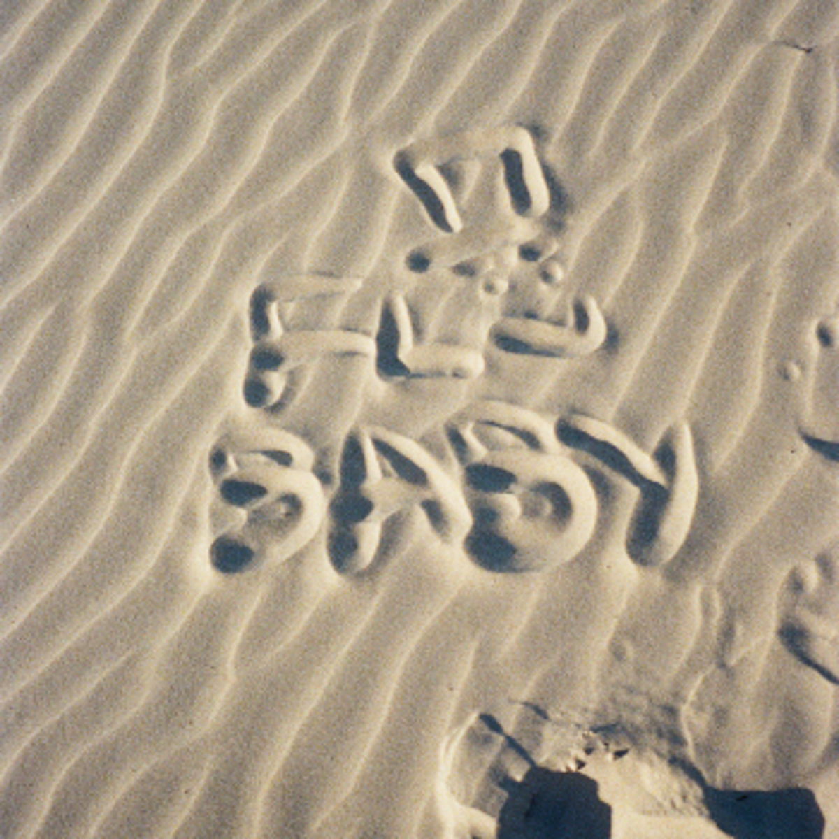 fl baby (new single is live) 🐬