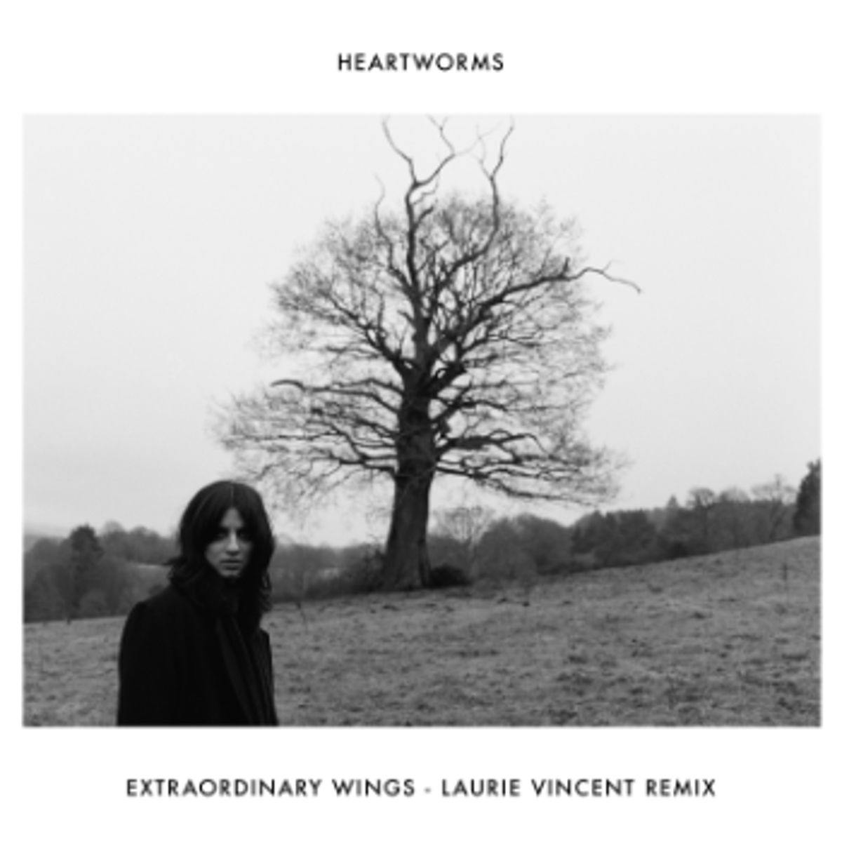 Listen to 'Extraordinary Wings (Laurie Vincent Remix)'